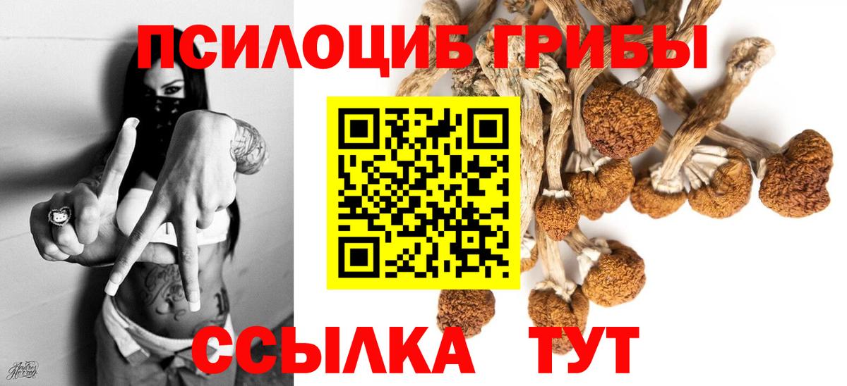 Учалы  Псилоцибиновые грибы мицелий  купить наркотик  Галлюциногенные грибы мухоморы  Вход с VPN 