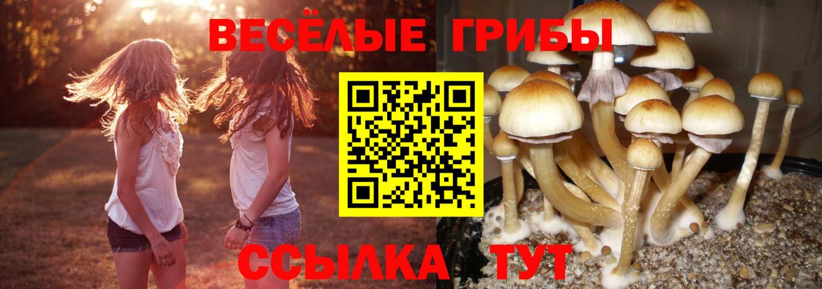 Псилоцибиновые грибы мицелий Учалы